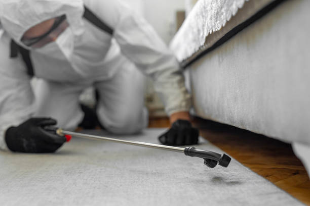 Professional Termite Control technician working in Huber Ridge, OH