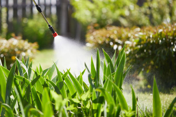 24/7 Emergency Termite Control experts in Huber Ridge, OH