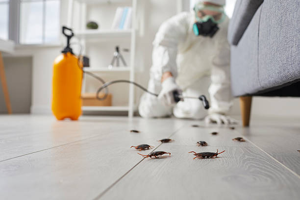 Trusted Termite Control service in Huber Ridge, OH - Nex Pest Control