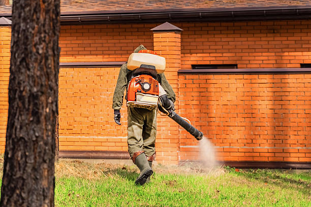 Trusted Rodent Control service in Huber Ridge, OH - Nex Pest Control